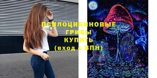 ECSTASY Медногорск