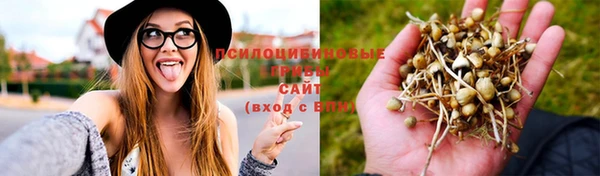 трава Мегион
