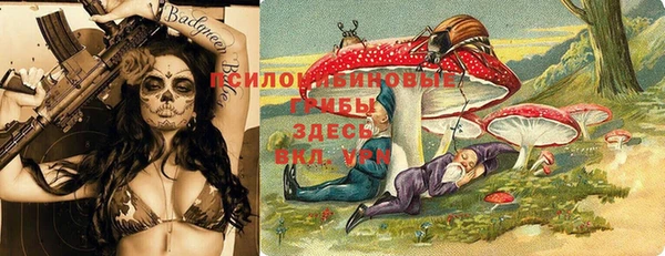 ECSTASY Медногорск