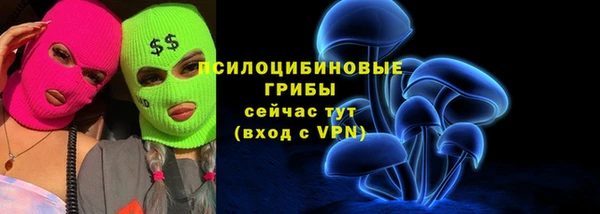 трава Мегион