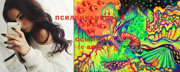 ECSTASY Медногорск