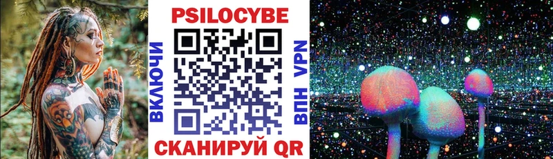купить наркотики сайты  Калининец  Псилоцибиновые грибы Psilocybine cubensis 
